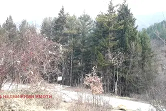 Парцел в с. Кокаляне