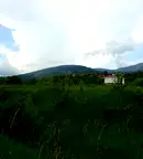 Парцел в с. Бистрица