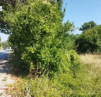 Photo 2 — Plot in Myrchaevo