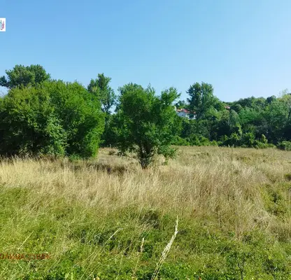 Photo 3 — Plot in Myrchaevo