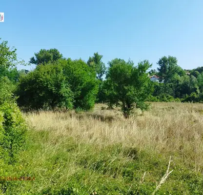 Photo 4 — Plot in Myrchaevo