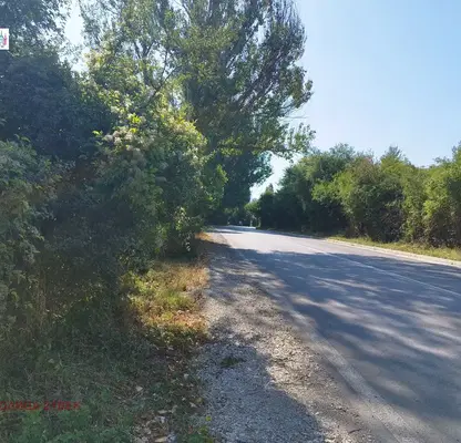 Photo 5 — Plot in Myrchaevo