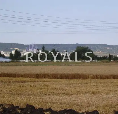 Photo 4 — Plot in Topoli