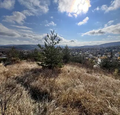 Photo 3 — Plot in Bistrica