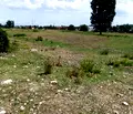 Снимка 4 — Парцел в с. Герман