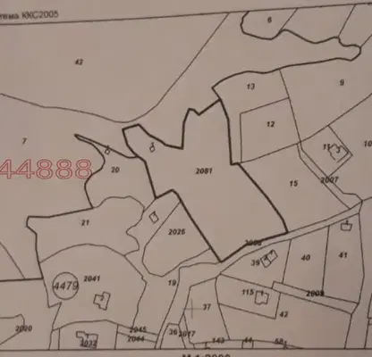 Photo 5 — Plot in Kytina