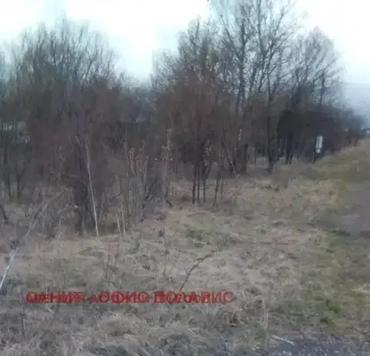 Photo 5 — Plot in Lozen