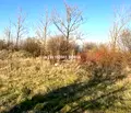 Снимка 4 — Парцел в с. Лозен