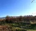 Снимка 5 — Парцел в с. Лозен