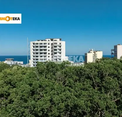 Photo 3 — Plot in Zlatni Pyasyci