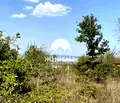 Снимка 5 — Парцел в с. Константиново