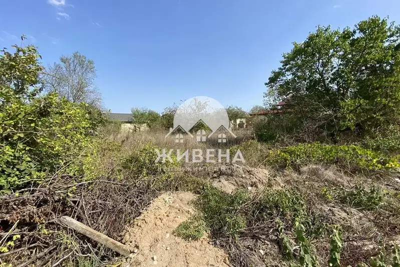 Plot in Konstantinovo