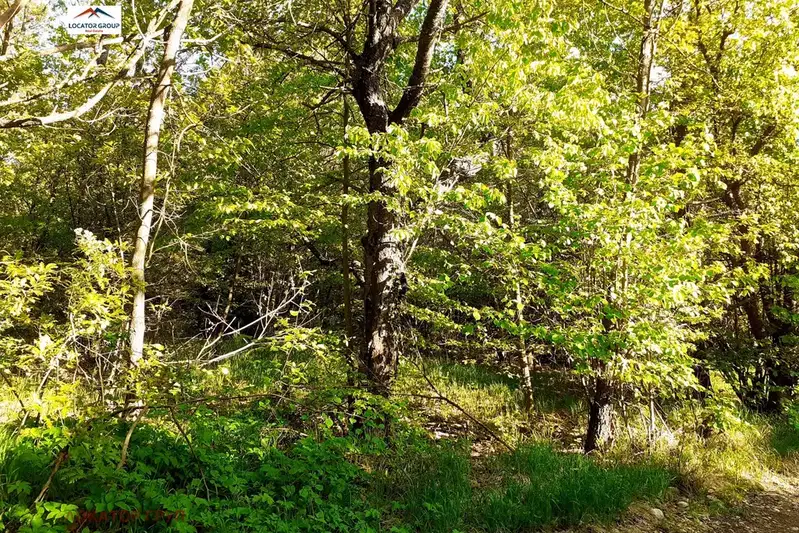 Plot in Dolni Pasarel