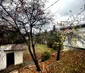 Снимка 5 — Парцел в с. Кокаляне