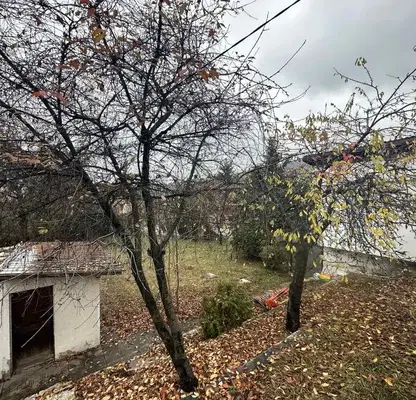 Photo 5 — Plot in Kokalyane