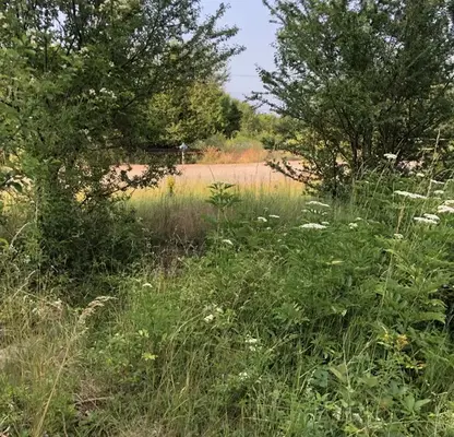 Photo 3 — Plot in German