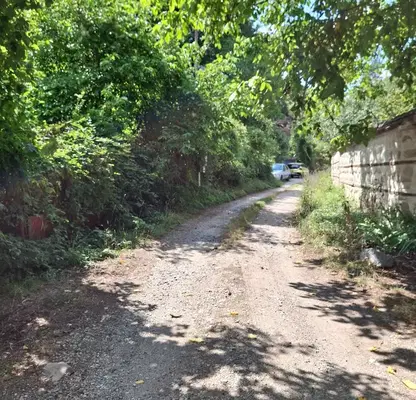 Photo 2 — Plot in Kokalyane