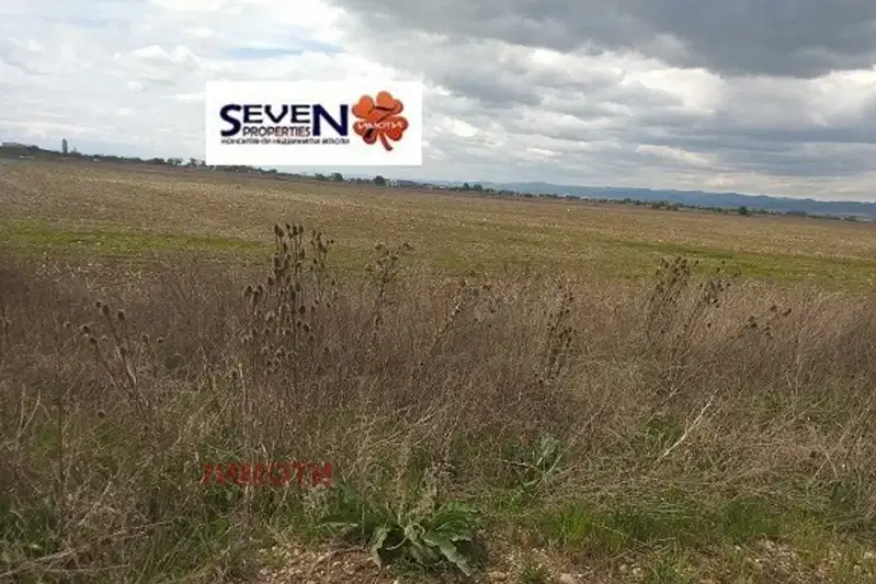 Plot in Krivina