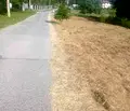 Снимка 2 — Парцел в с. Мърчаево