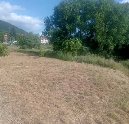 Photo 3 — Plot in Myrchaevo