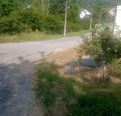 Photo 4 — Plot in Myrchaevo