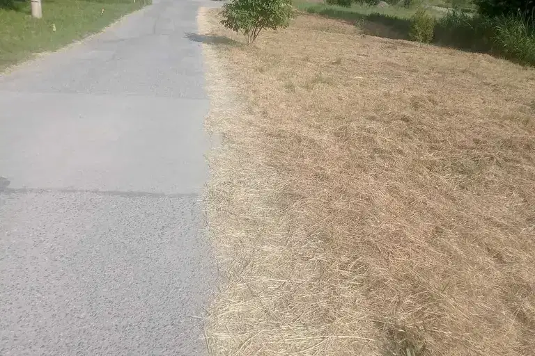 Plot in Myrchaevo