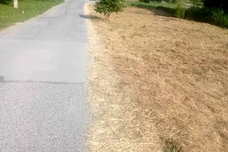 Парцел в с. Мърчаево