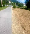Парцел в с. Мърчаево