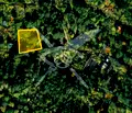 Снимка 4 — Парцел в с. Герман