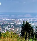 Парцел в София, Бояна