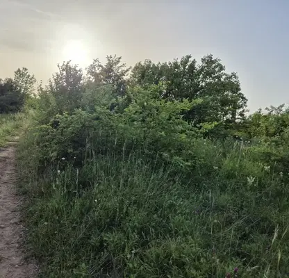 Photo 2 — Plot in Veliko Tyrnovo, Buzludja