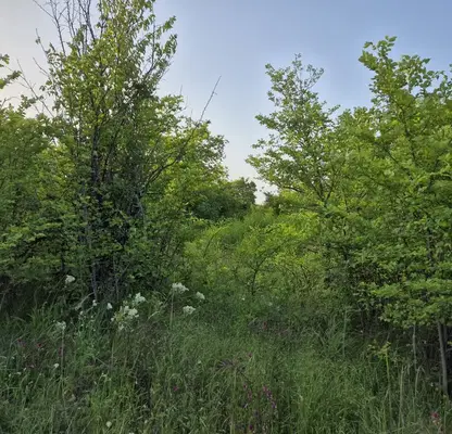Photo 3 — Plot in Veliko Tyrnovo, Buzludja