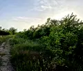 Снимка 4 — Парцел във Велико Търново, Бузлуджа