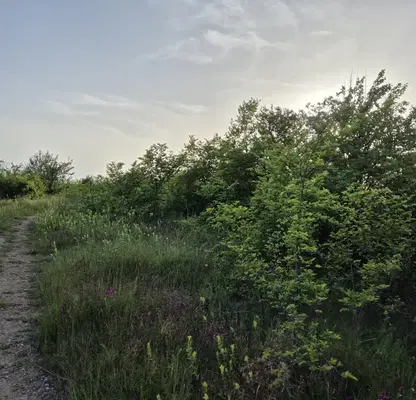 Photo 4 — Plot in Veliko Tyrnovo, Buzludja