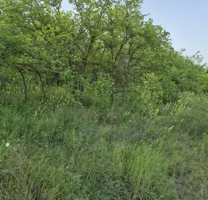 Photo 5 — Plot in Veliko Tyrnovo, Buzludja