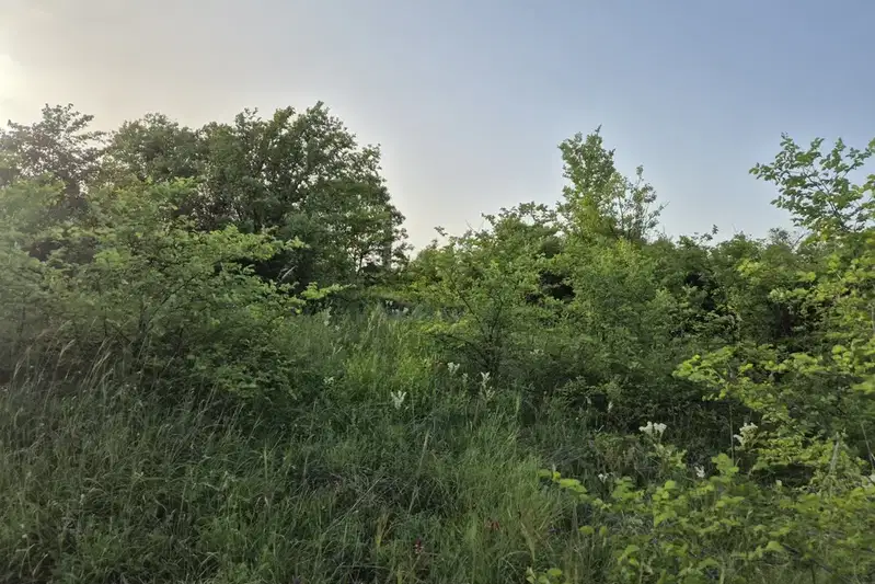 Plot in Veliko Tyrnovo, Buzludja