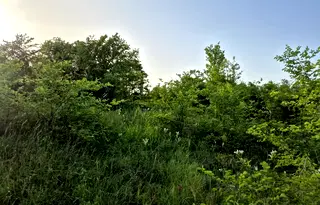 Парцел във Велико Търново, Бузлуджа