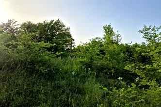 Парцел във Велико Търново, Бузлуджа