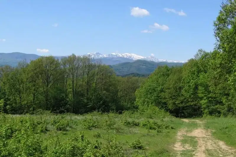 Парцел в Габрово, Център