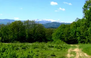 Парцел в Габрово, Център