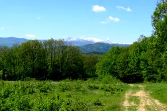 Парцел в Габрово, Център