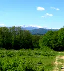 Парцел в Габрово, Център