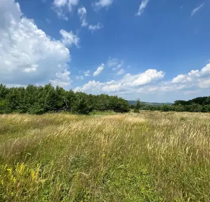 Photo 3 — Plot in Gabrovo, Centyr