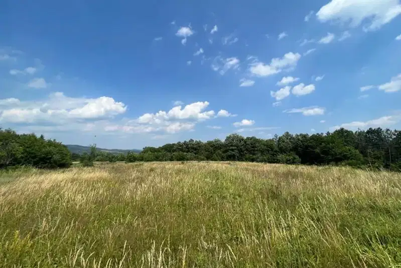 Plot in Gabrovo, Centyr