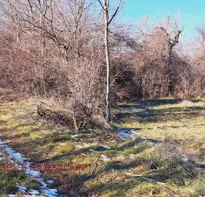 Photo 4 — Plot in Pernik, Cyrkva