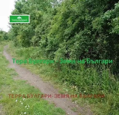 Снимка 3 — Парцел в Перник, Църква