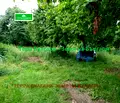 Снимка 4 — Парцел в Перник, Църква