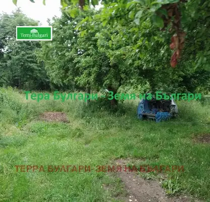 Снимка 4 — Парцел в Перник, Църква