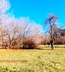 Парцел в Перник, Църква