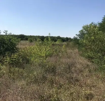 Снимка 4 — Парцел в Русе, ДЗС